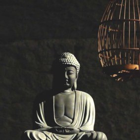 photograph-of-a-statue-of-the-buddha-in-provocative-proximity-to-a-cage